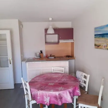 Rdc Avec Terrasse, Jardin Et Acces - Capacite 4 Pers, Animaux Et Fumeurs Non Admis - Fr-1-674-4 Apartment *